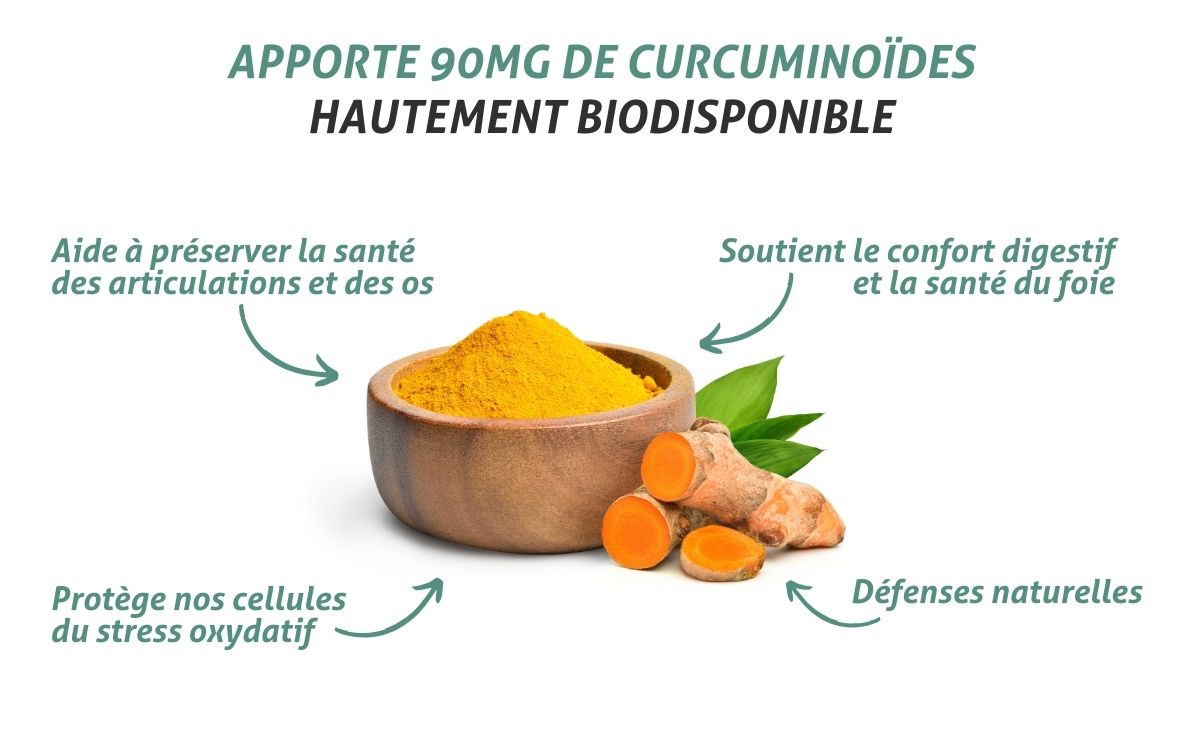 curcuma bio - ingrédients